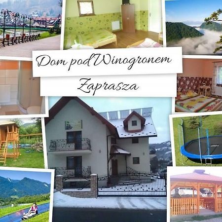 Апартаменти Dom Pod Winogronem Щавниця Екстер'єр фото